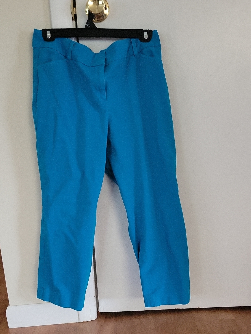 Chaus Turquoise Pants Cropped Sz 12